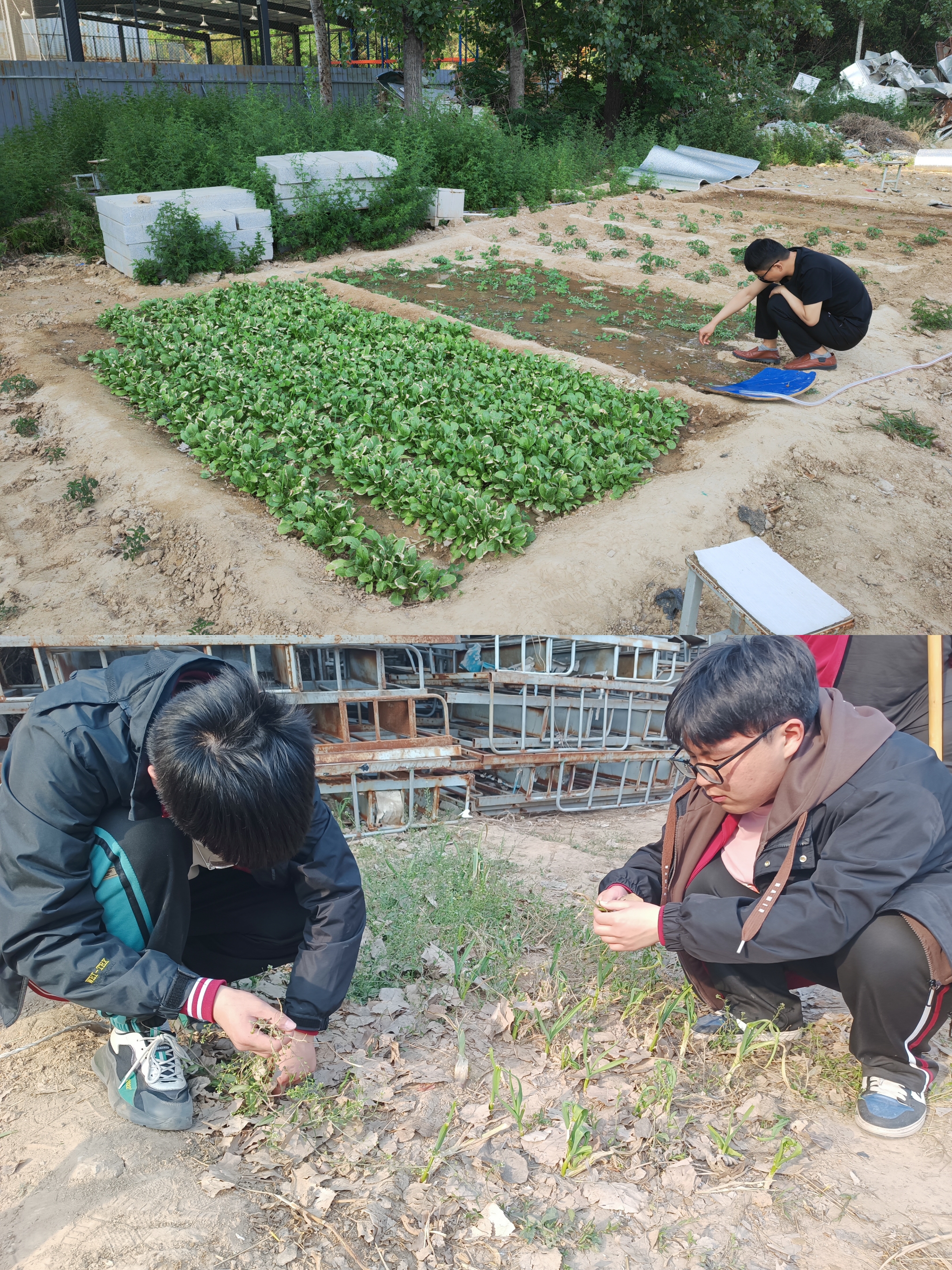 種植課老師和學(xué)生們?cè)诓说厣险n.jpg